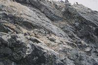 
DSC00183